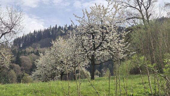 Photo de Thomi W le long du parcours