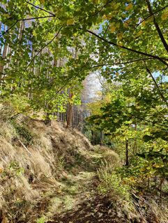 Fotografie de la DevilsBastard de-a lungul turului