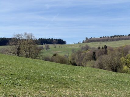Photo de Frank Neumann le long du parcours