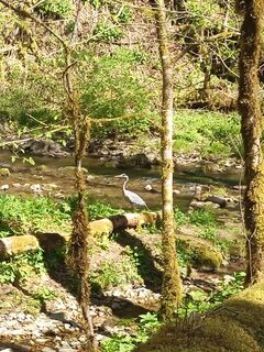 Foto von Laifernorbert entlang der Tour