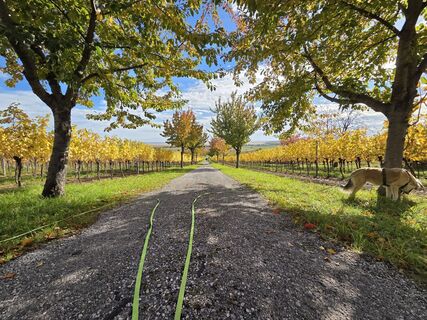 Foto von Thomas Hillinger entlang der Tour