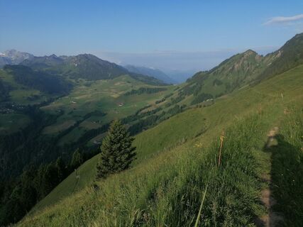 Fotografija s spletne strani luyyy na poti