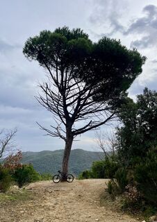 Foto von Aurelian Böhler entlang der Tour