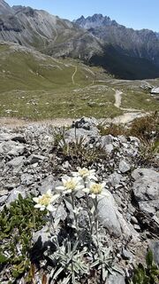 Foto von Gabriel Paraschiv 1 entlang der Tour
