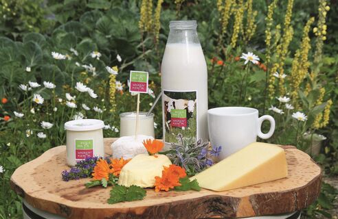 Bio aus dem Tal - Hirschleitenhof