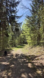 Foto von Claudia Maurer entlang der Tour