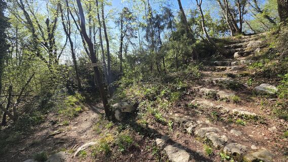 Fotografie z euterpe42 na trase