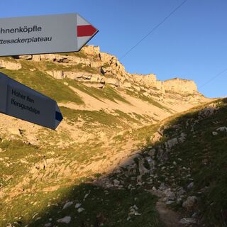 Durch die Ifenmulde aufs Plateau