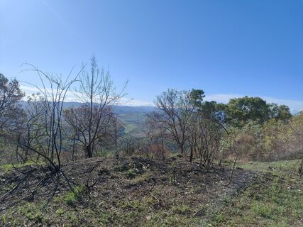 Photo de massimo tabellini le long du parcours