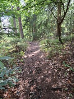 Photo de nordbergschnecke le long du parcours