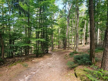 Fotografie z Christian Stieber na trase