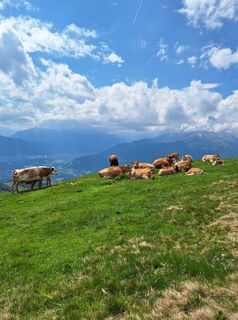 Foto fra Dagmar Hofer underveis på turen