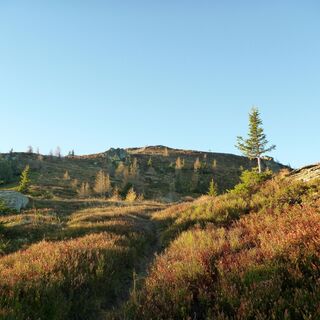 Aufstieg zum Geierkogel
