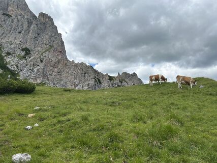 Fotografia z Gyula Juhász 1 na trase