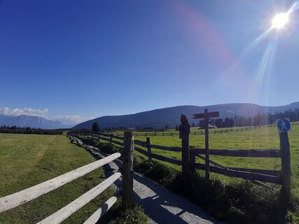 Foto von Anneke entlang der Tour