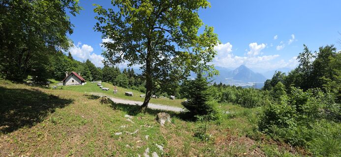 Photo de euterpe42 le long du parcours