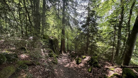 Foto von peter_oe entlang der Tour