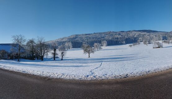 Fotografia z Frieda Schatz na trase