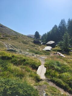 Foto de Gudi kowa a lo largo del recorrido