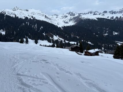 Photo de niwde le long du parcours