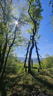 Foto von Boba Weishaar entlang der Tour