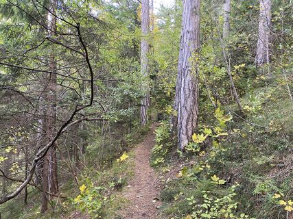 Photo de BeateMCh le long du parcours