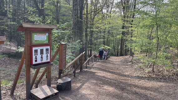 Waldkugelbahn