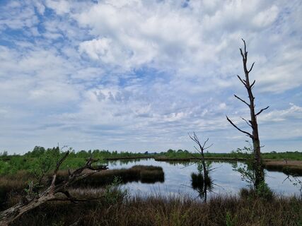 Foto von Peter van Leusden entlang der Tour