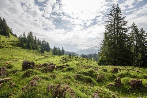 Saalachtaler Rundweg
