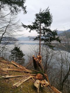 Fotografija s spletne strani Dagmar Hofer na poti