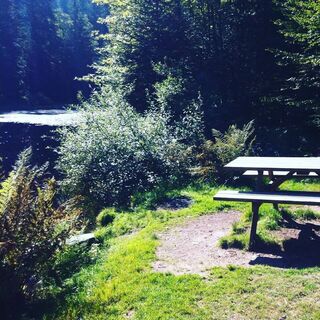 Etang de Sèchemer