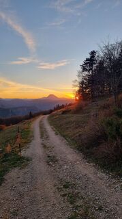 Photo de Hermanngonaus le long du parcours