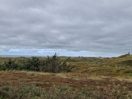 Foto von nordbergschnecke entlang der Tour