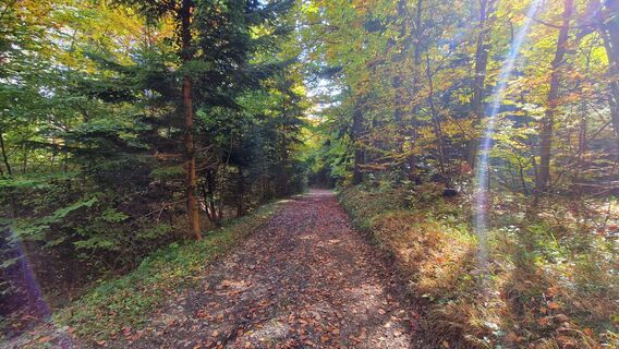 Zdjęcie z EP87 wzdłuż trasy