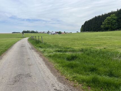 Photo de Harald Mang le long du parcours