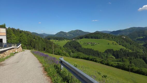 Ausblick Aufstieg vor Gehöft Mitternestelberg