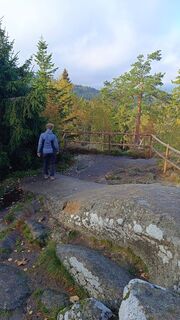 Foto från Georg Kreis under resans gång