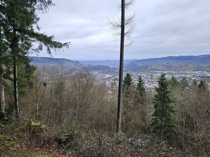 Foto von Klaus-Peter Holz entlang der Tour