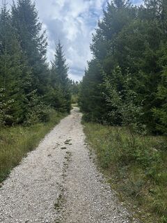 Foto von Robert Zauner entlang der Tour