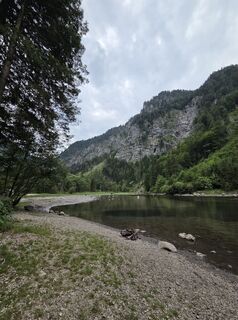 Lunz am See, Niederösterreich/Österreich