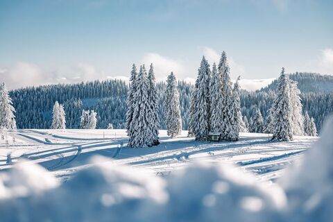 Winterlandschaft