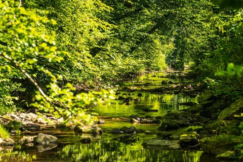 Idyllisches Enztal auf dem Schluchtenpfad