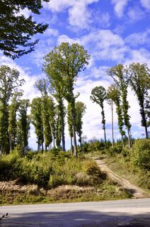 Foto von Kellner Heidi entlang der Tour