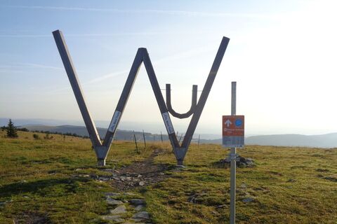 Route 50 - Wexl Trails