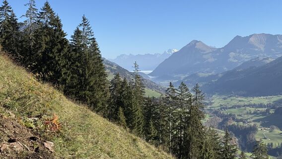 Foto von peter_oe entlang der Tour