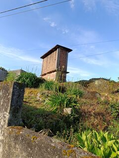 Fotografia z Edit Szoboszlay na trase