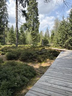 Foto von Olivier michel entlang der Tour