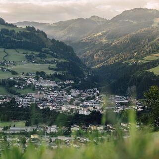 Talansicht Hahnbaum