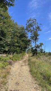 Foto de Anne Stahlschmidt a lo largo del recorrido