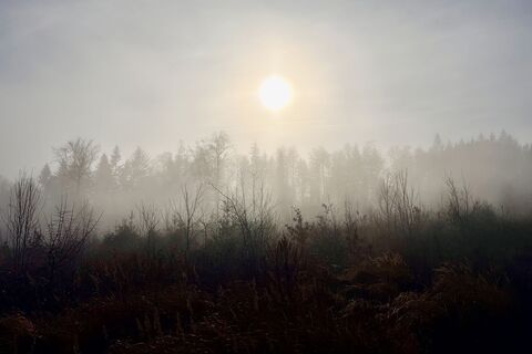 Foto de TallWanderBilly a lo largo del recorrido